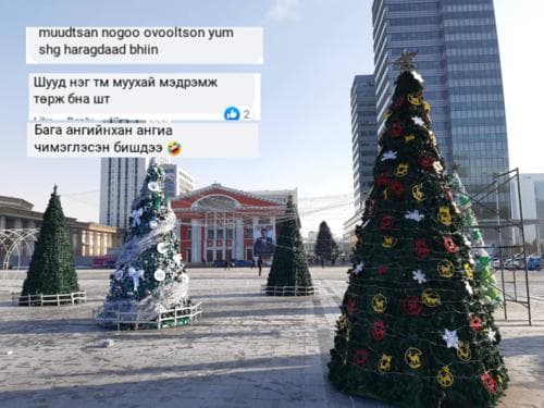 Дахин боловсруулсан материалаар хийсэн сүлд мод иргэдийн бухимдлыг төрүүлэв