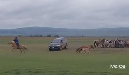 “Гацуурт” ХХК-ийн захирал Ч-ын нэр хүндэд халдсан худал мэдээллийг олон нийтэд тараасан гэх хэрэгт 4 хүнийг яллагдагчаар татжээ
