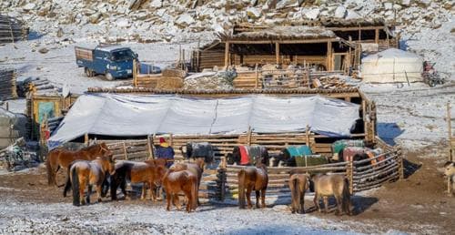 Малчдад 5000 тонн тусламжийн тэжээл хүргэжээ