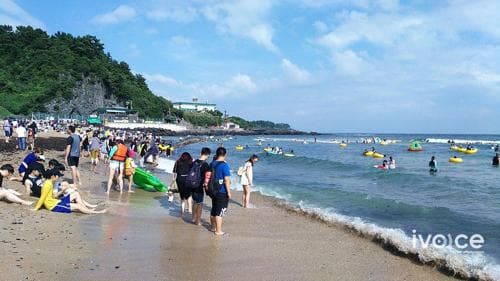 Чежүд аялахаар очоод харласан монгол иргэдийн мэдээллийг өндөр үнээр худалдаж авна