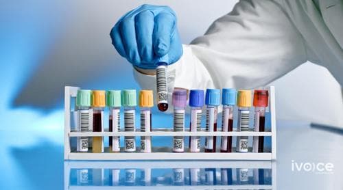 Нийт халдварт өвчний дунд бэлгийн замаар дамжих халдварын өвчлөл тэргүүлж байна