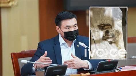 Эмээлт дэх муудсан махны асуудлаар ШАДАР САЙД мэдээлэл хийнэ