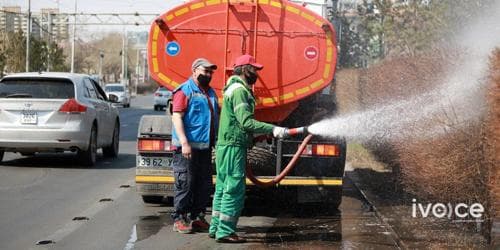 БОАЖЯ: 2023 онд эзэнгүй нохой, муурыг цэгцэлж найман их цэвэрлэгээ хийнэ