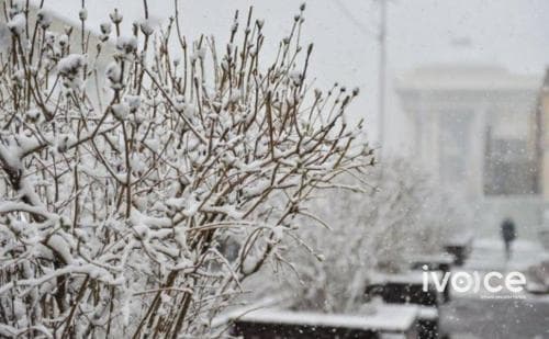 Гуравдугаар сард нойтон цас давамгайлна