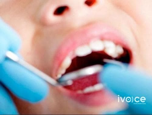 Ерөнхий сайд Л.Оюун-Эрдэнэ үндэсний хэмжээнд шүд төслийг эхлүүлнэ