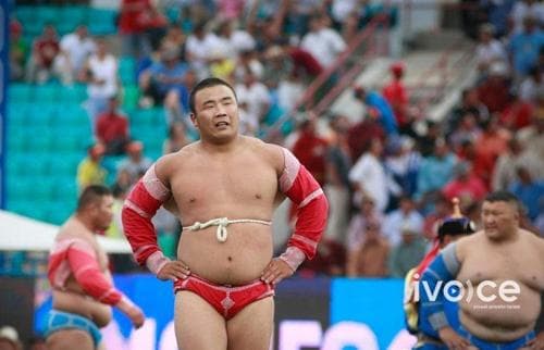 Монгол Улсын заан Д.Анарын хүндэтгэлийн барилдаан энэ сарын 8-нд болно