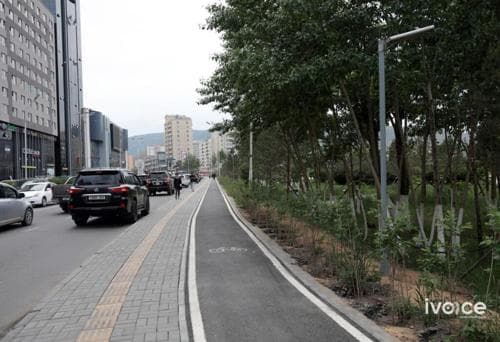 Богдын музейн хашааны оронд 2840 гоёлын мод тариад байна