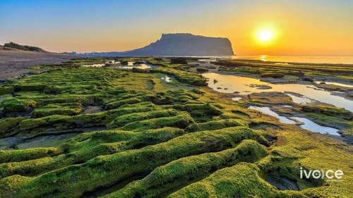 ГХЯ: Жэжүд очсон 23 монгол иргэнийг визний зөрчилтэй гэж үзэхгүй