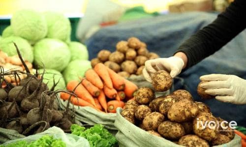 ШӨХТГ: Төмсний үнэ шатахуунаас бус нийлүүлэлтийн хомсдлоос нэмэгджээ