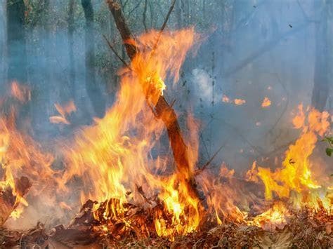 Хоёр аймгийн нутаг дэвсгэрт гарсан хээрийн түймрийг бүрэн унтраажээ