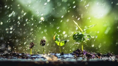 ЦАГ АГААР: Ирэх долоо хоногт ихэнх нутгаар бороо орно