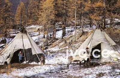 АНУ-аас хайр сэтгэлээ сонгон Цаатан ахуйд амьдарч буй Монгол бүсгүй