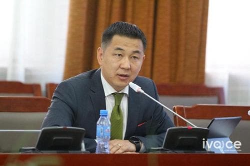 Д.Үүрцайх: Парламентын гишүүдийн тоог нэмэхгүйгээр сонгуулийн тогтолцоог өөрчлөөд ямар ч нэмэргүй