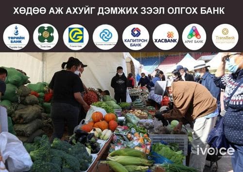 Хөдөө аж ахуйг дэмжих зээлийг арилжааны найман банкаар олгож байна
